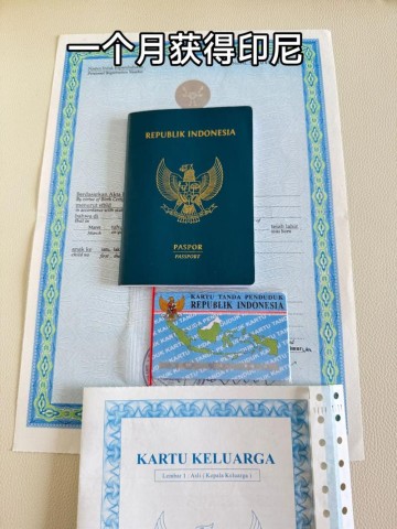 印尼案例